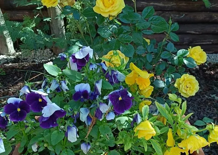 La Casetta Rossa Apartmán *