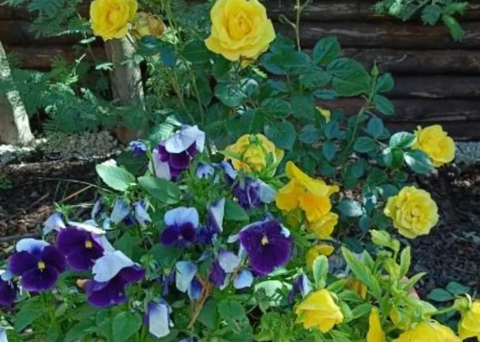 Appartamento La Casetta Rossa